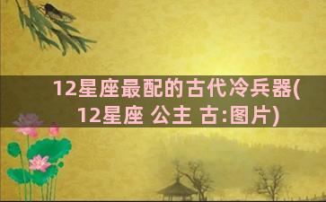 12星座最配的古代冷兵器(12星座 公主 古:图片)